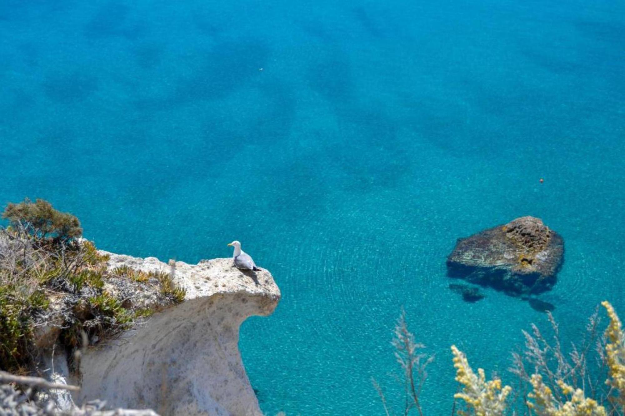 Maridea - Cave Apartments Ponza Bagian luar foto